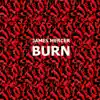 James Mercer - Burn